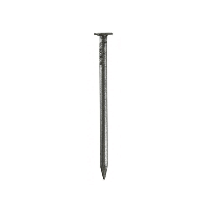 Pointes tête plate large galvanisées – VYNEX