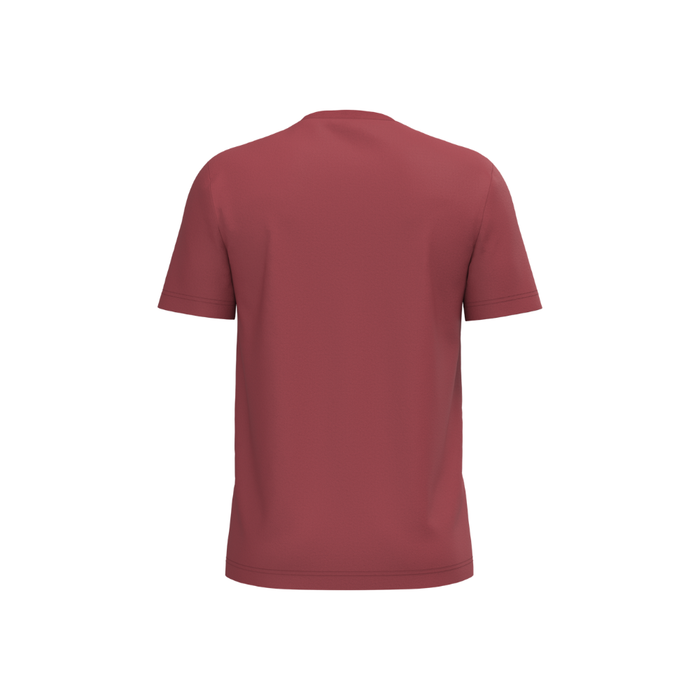 Vue de dos du T-shirt Bio190 homme coton biologique Terracotta red