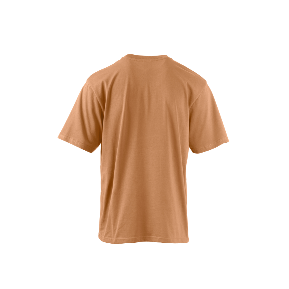 Vue de dos du T-shirt Payper COOL Noisette